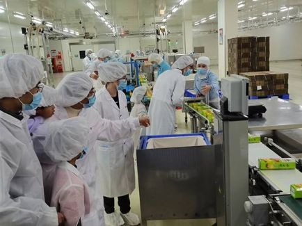 J9集团|国际站官网